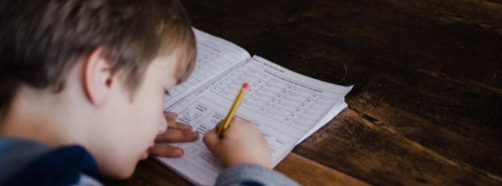 Youth Tutors will be matched with refugee youth from our Refugee Foster Care program or a refugee family in our Refugee Resettlement department. These matches will include youth from early elementary to high school.